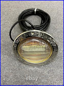 Pentair 600102 Stainless Steel IntelliBrite 120V Color LED Pool Light 41' cord
