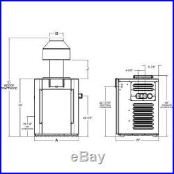 Raypak 009219 Digital 399K BTU Natural Gas Pool Heater P-R406A-E-C
